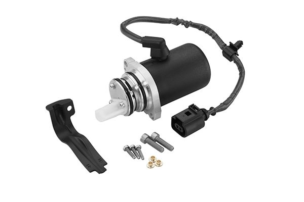 BorgWarner DS118622 Pump, multi-plate clutch (all-wheel drive)