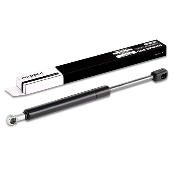 RIDEX 219G0080 Gas Spring, boot/cargo area