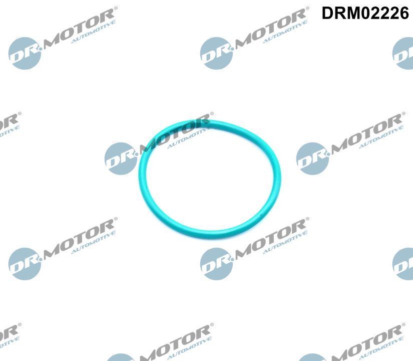 Dr.Motor Automotive DRM02226 Gasket, EGR valve