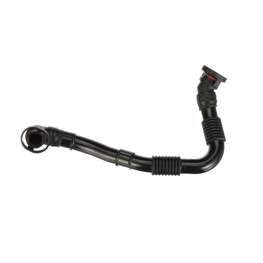 žarna, karterio alsuoklis