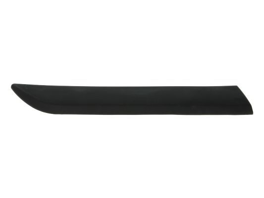 Zier-/Schutzleiste, Kotflügel