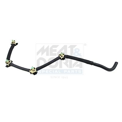 Schlauch, Leckkraftstoff