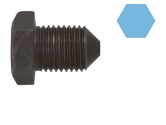 Screw Plug, oil sump 220079H