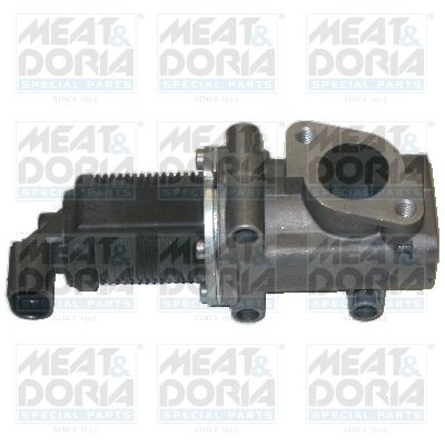 EGR Valve 88007E