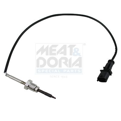 Sensor, Abgastemperatur