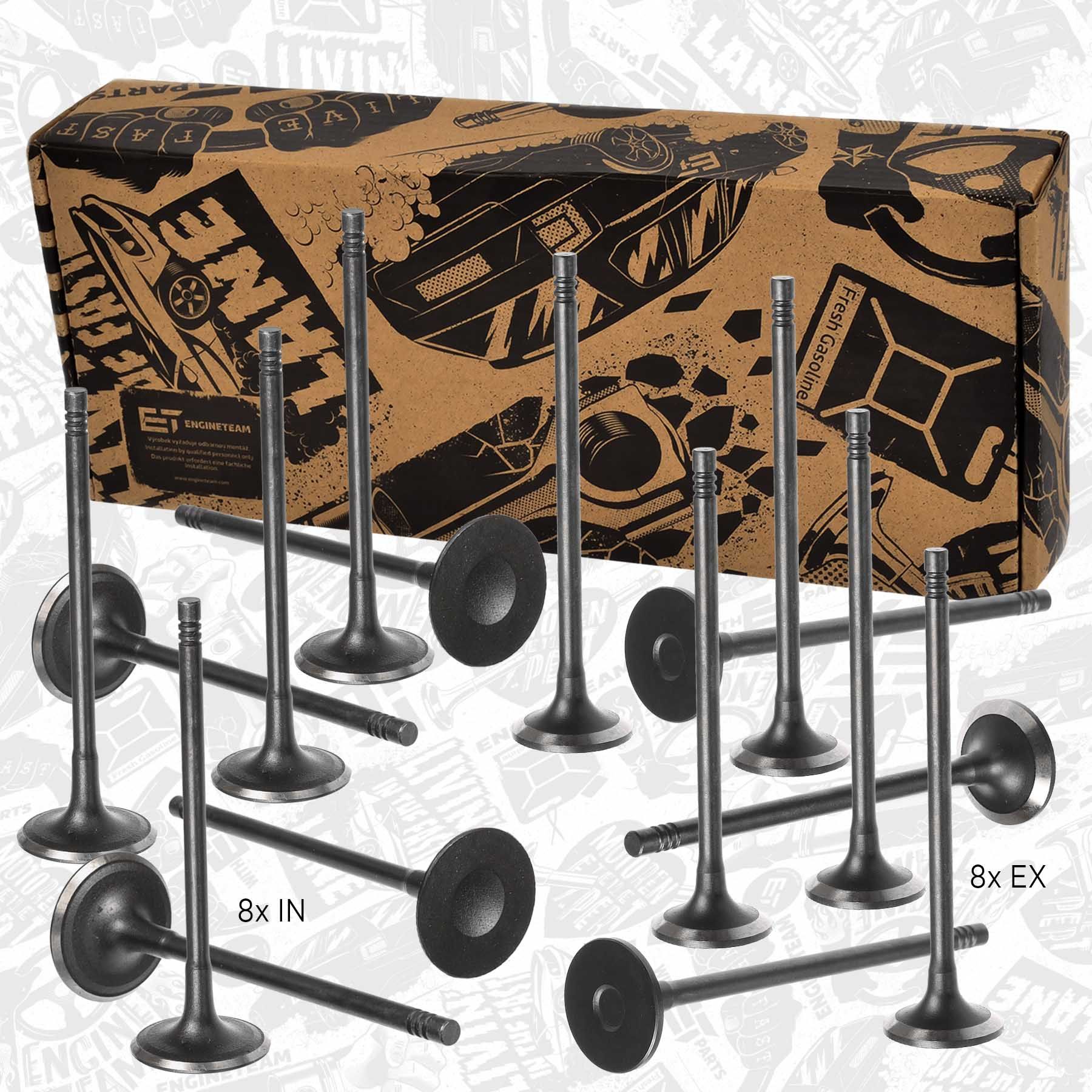 Ventilsatz, Einlass-/Auslassventil