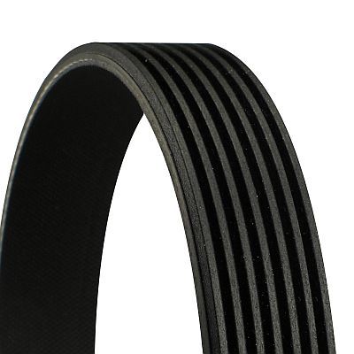 CONTINENTAL CTAM 7PK2365 V-Ribbed Belt