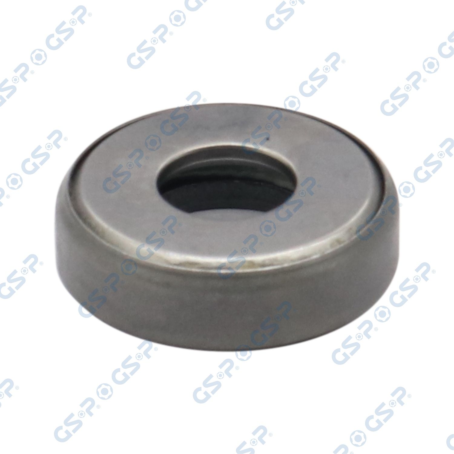 Wälzlager, Federbeinstützlager