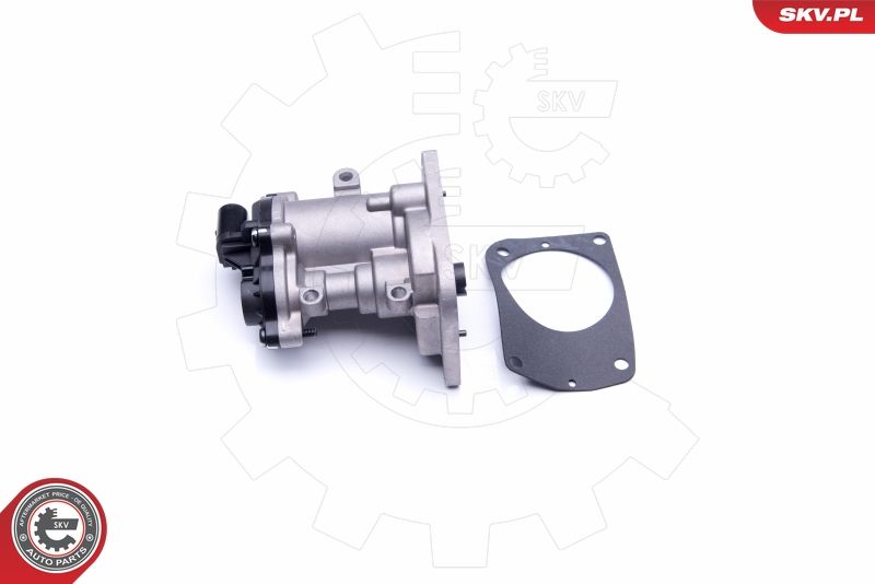 EGR Valve 14SKV160