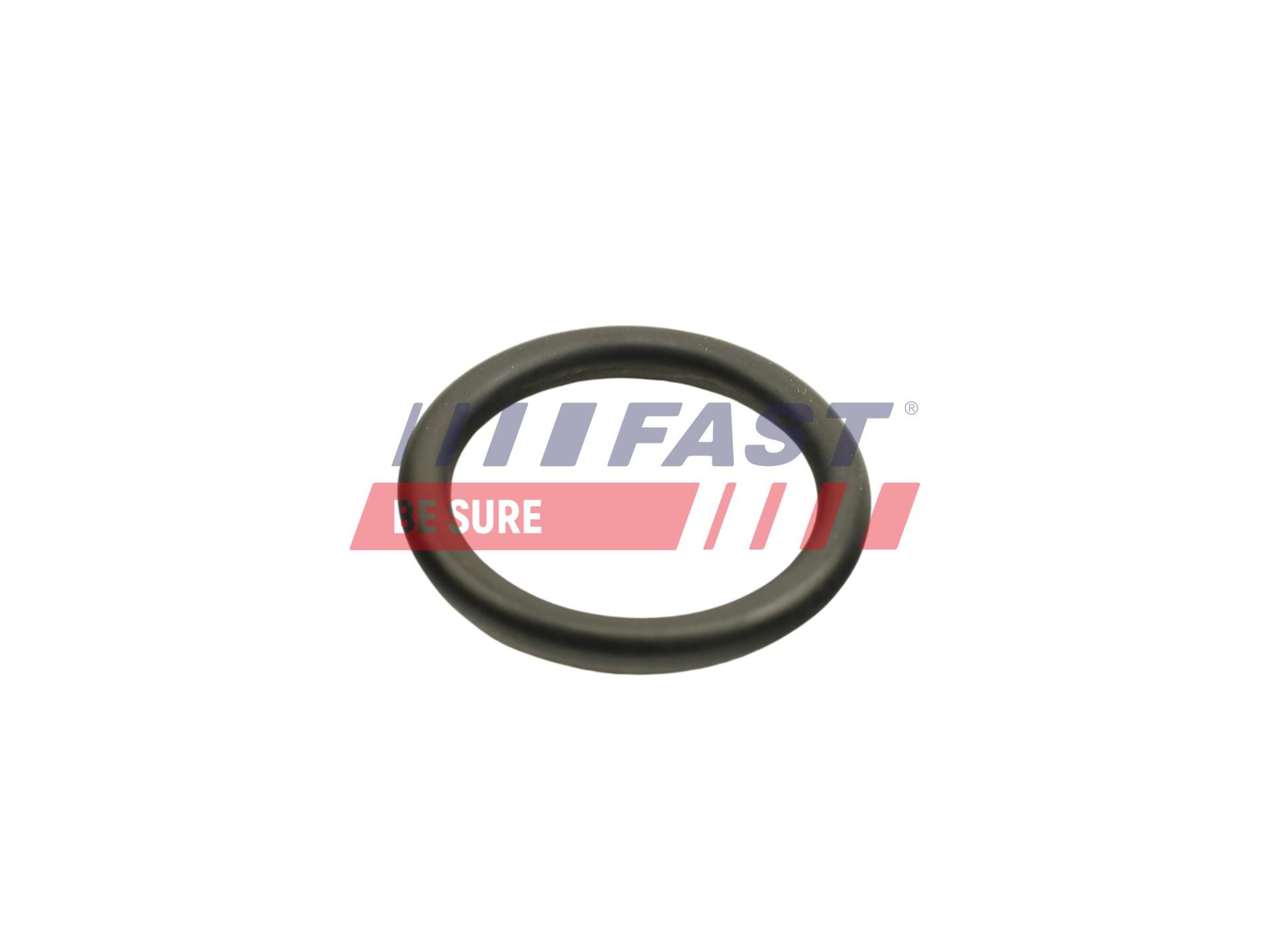 Dichtring, Ölkühler (Schmierung)