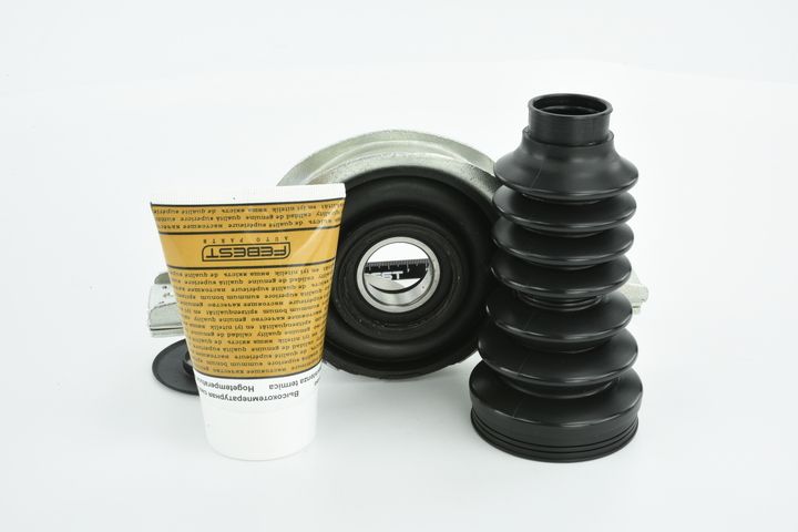 guolis, kardaninio veleno centrinis guolis