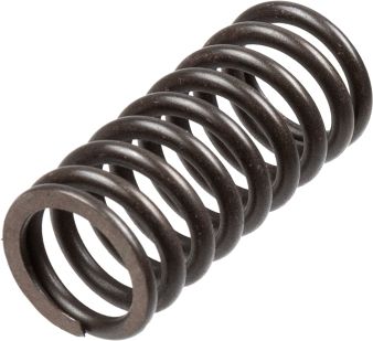 TRW MEF316-5 Clutch Spring Set