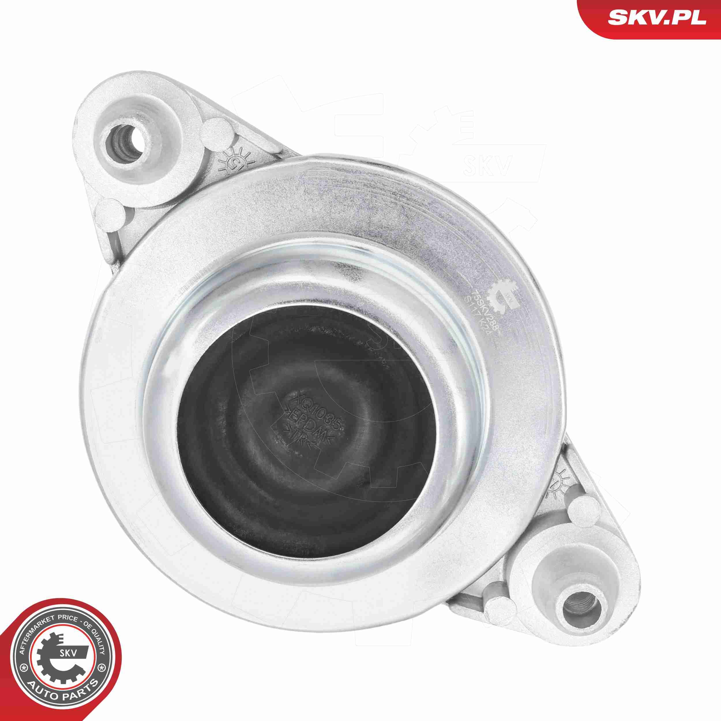 ESEN SKV 75SKV288 - Lagerung, Motor