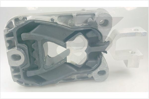 Halter, Motoraufhängung