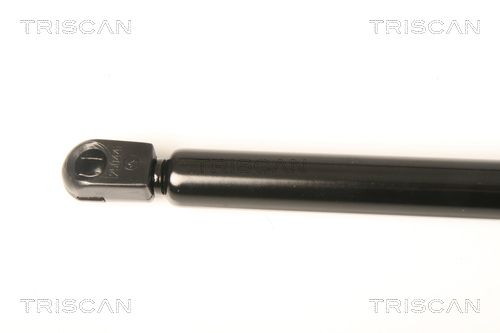 Triscan 8710 23217 Gasfeder, Koffer-/Laderaum