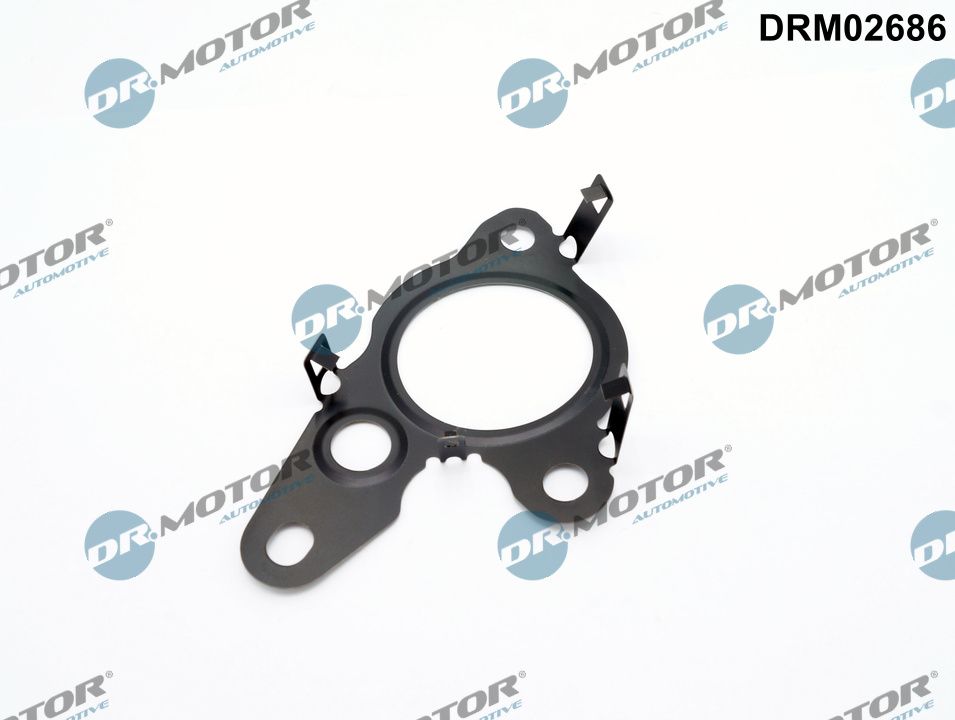 Dr.Motor Automotive DRM02686 - Dichtung, AGR-Ventil