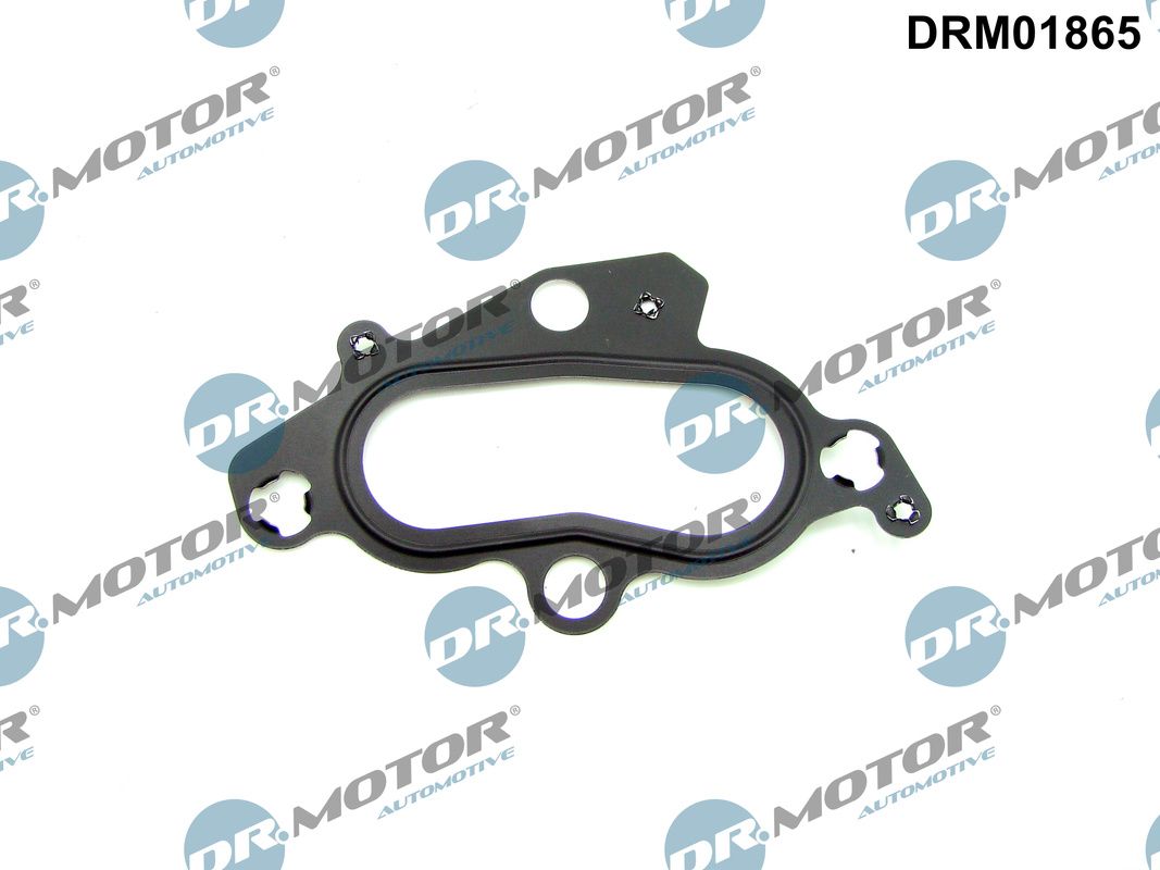 Dr.Motor Automotive DRM01865 Dichtung, Kühlmittelflansch