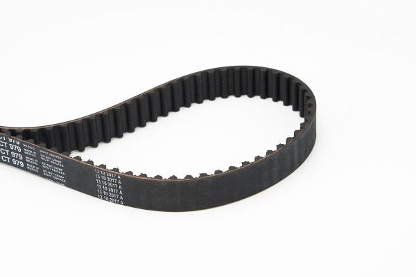 BELTPIC_CT979.JPG