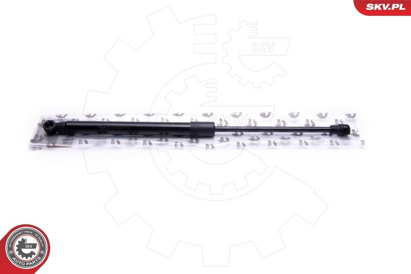 Gasfeder, Motorhaube