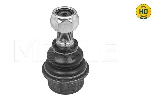 FS_2160100007HD_1.JPG