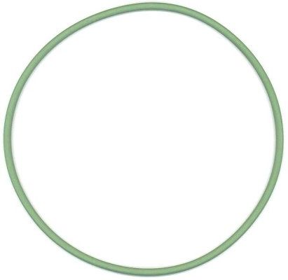 Dichtring