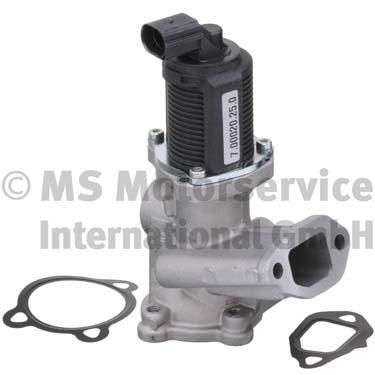 EGR Valve 7.00020.25.0