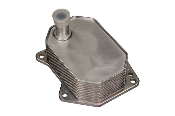 MAXGEAR 14-0022 Oil Cooler, engine oil