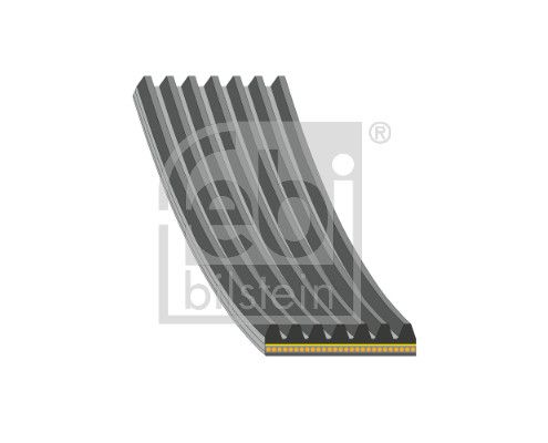 FEBI BILSTEIN 182992 - Keilrippenriemen