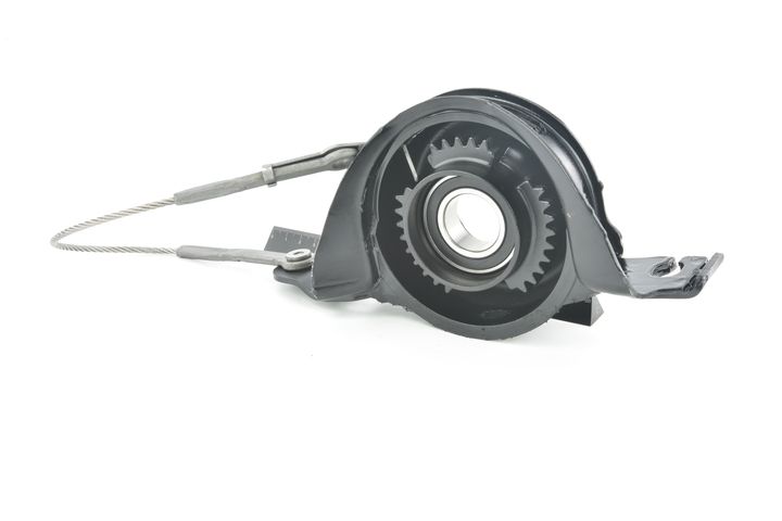 guolis, kardaninio veleno centrinis guolis