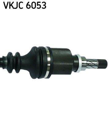 VKJC 6053_3.JPG