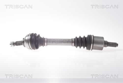 8540 38569 TRISCAN hajtótengely