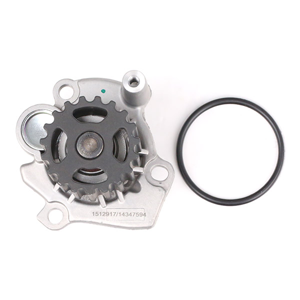 Waterpomp + distributieriem set