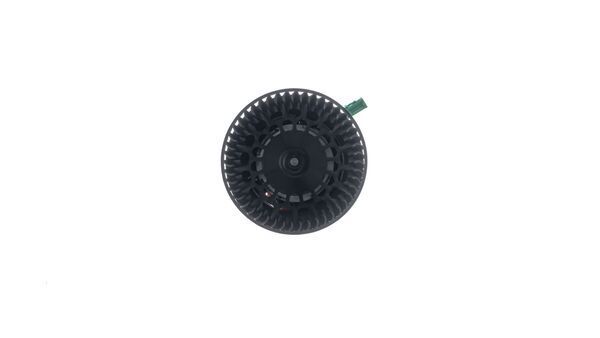 Ventilador del interior
