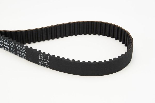 BELTPIC_CT919.JPG