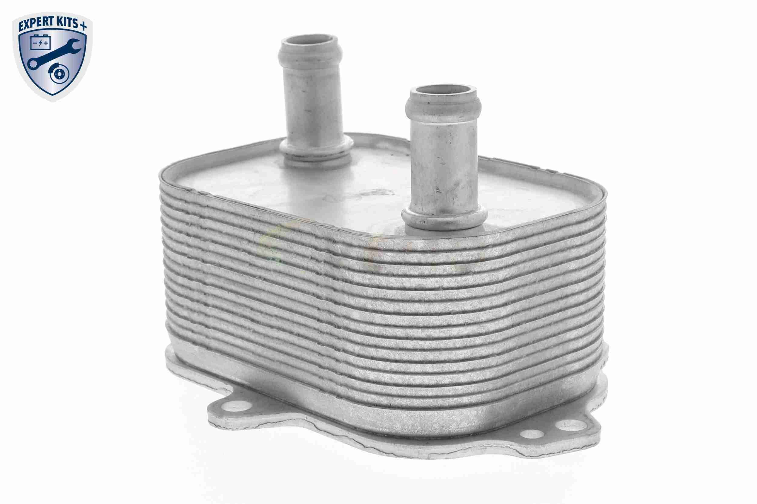 &Ouml;lk&uuml;hler, Motor&ouml;l