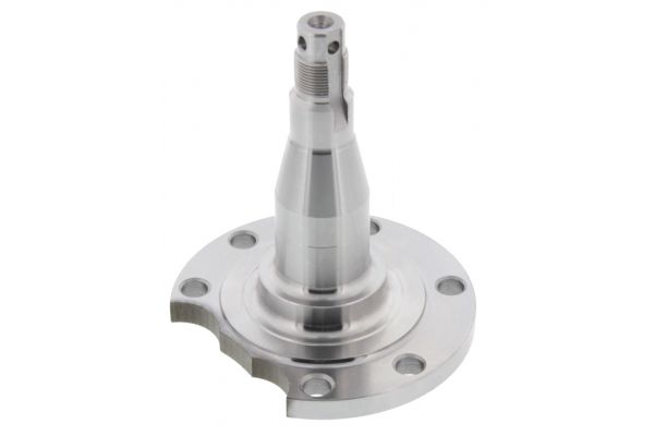 Achsschenkel, Radaufh&auml;ngung