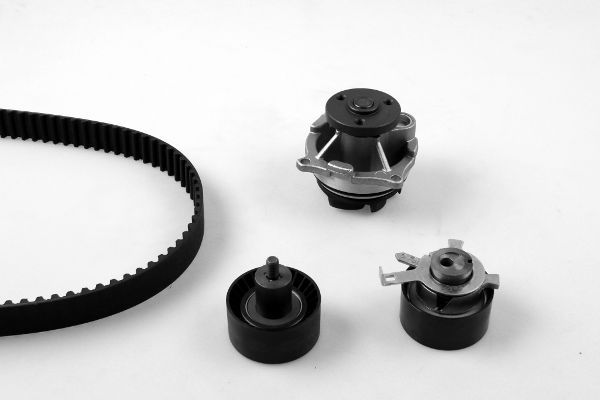 Water Pump & Timing Belt Kit PK02361