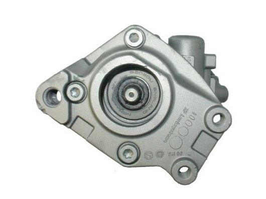 Spidan 54338 Hydraulikpumpe, Lenkung