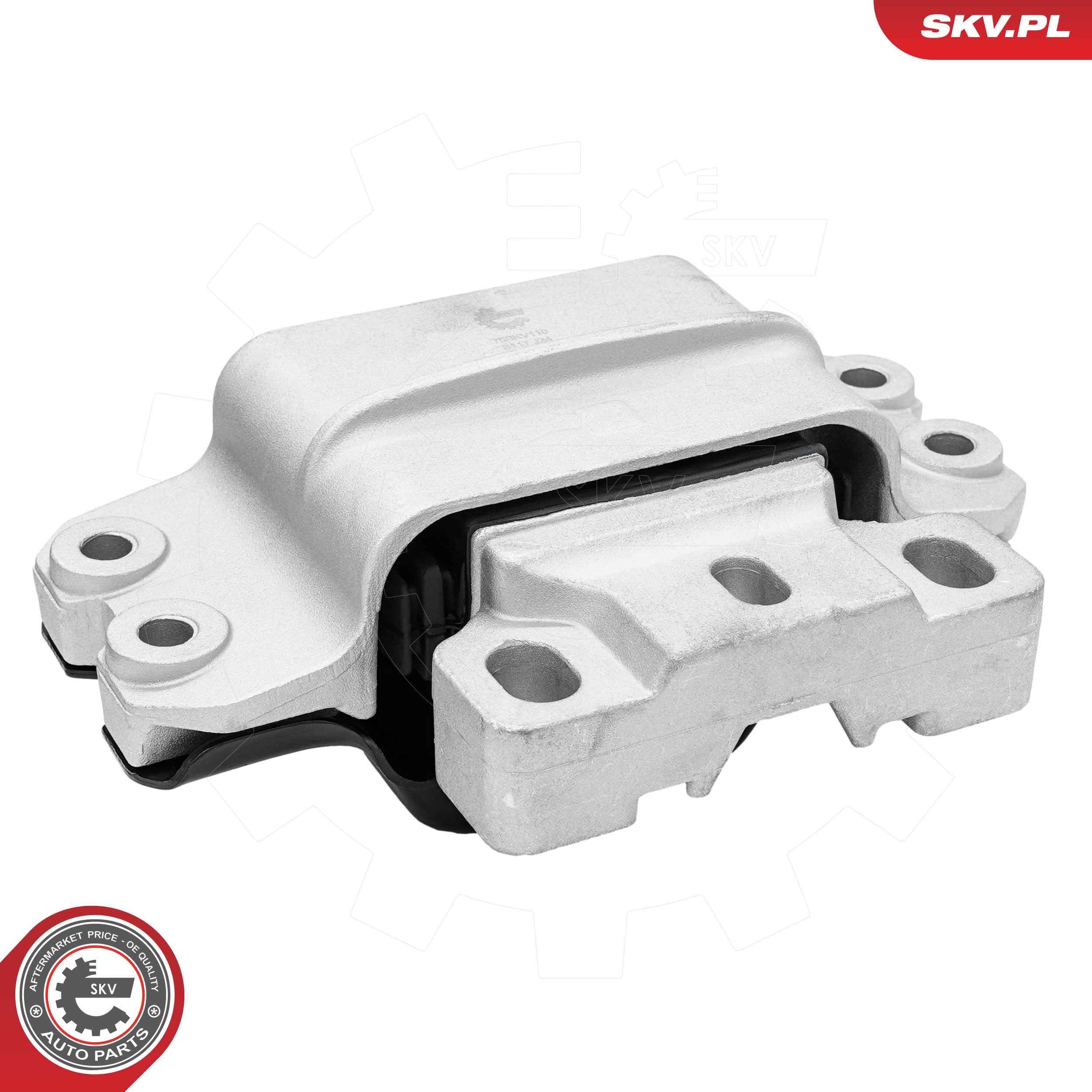 ESEN SKV 75SKV110 - Lagerung, Motor