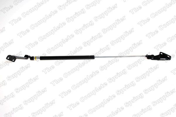 Gasfeder, Koffer-/Laderaum