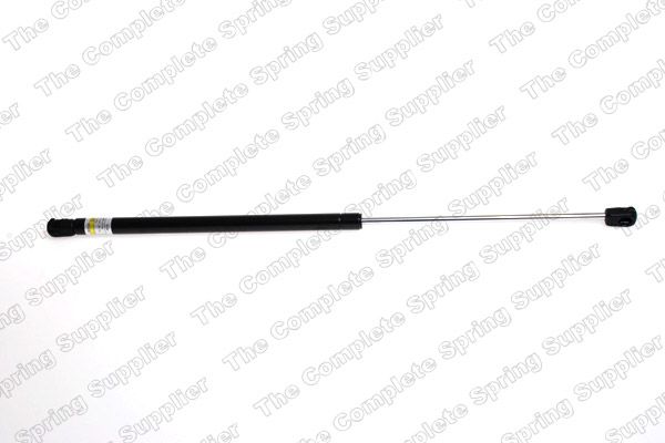 Gasfeder, Koffer-/Laderaum