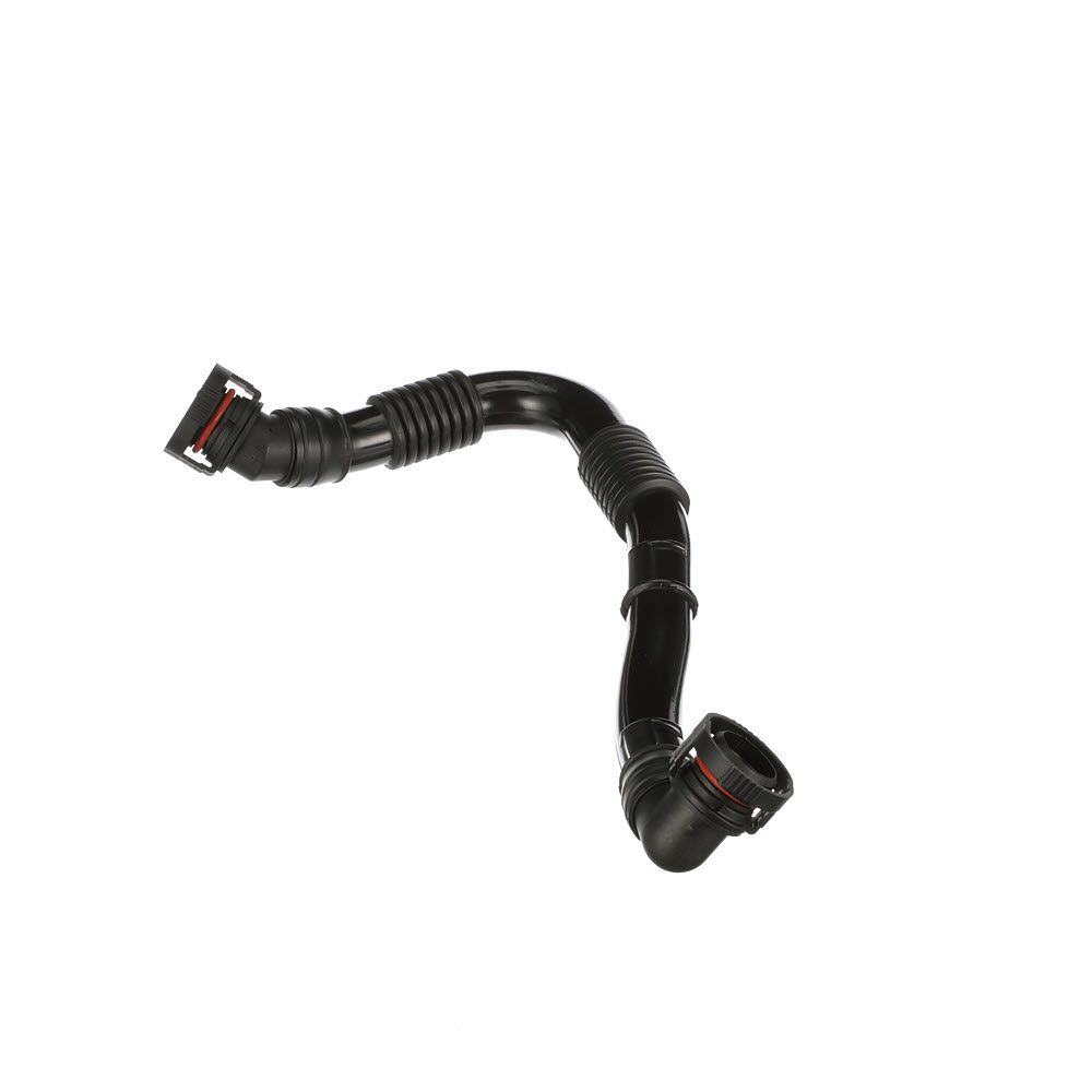 žarna, karterio alsuoklis