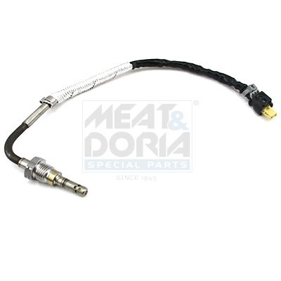 Sensor, Abgastemperatur