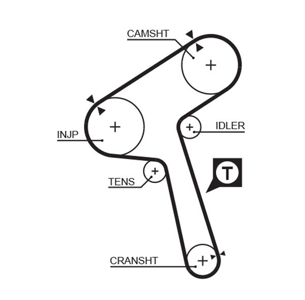 Timing Belt 5363XS