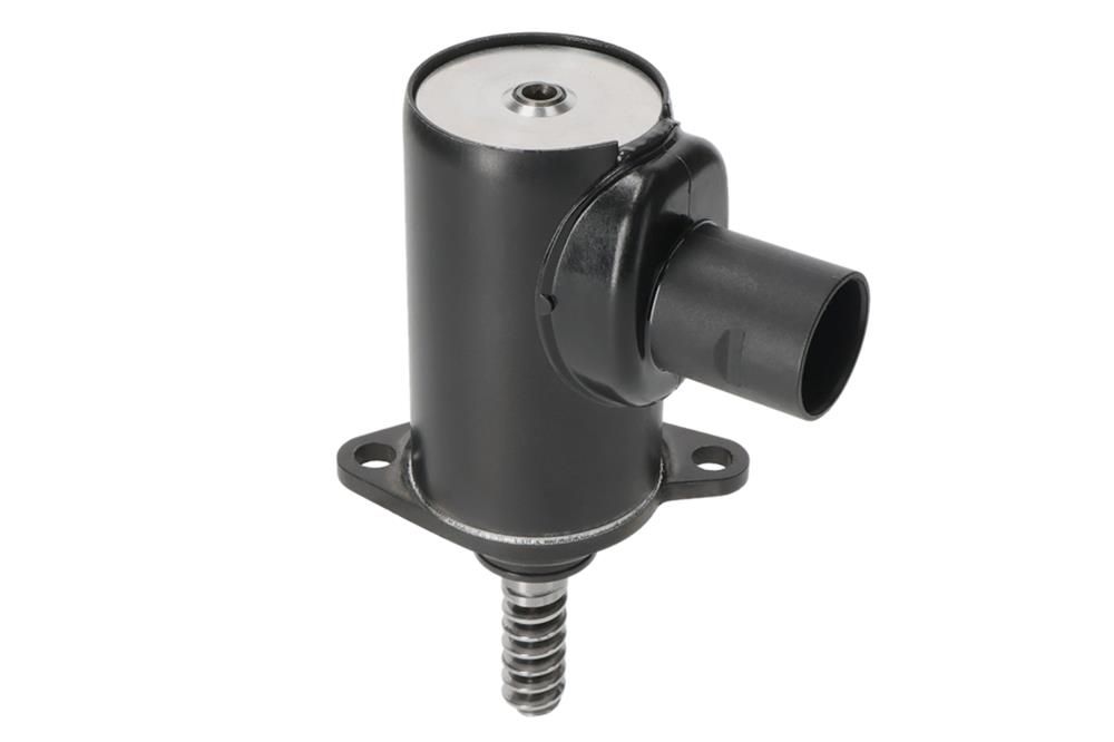 Stellelement, Exzenterwelle (variabler Ventilhub)