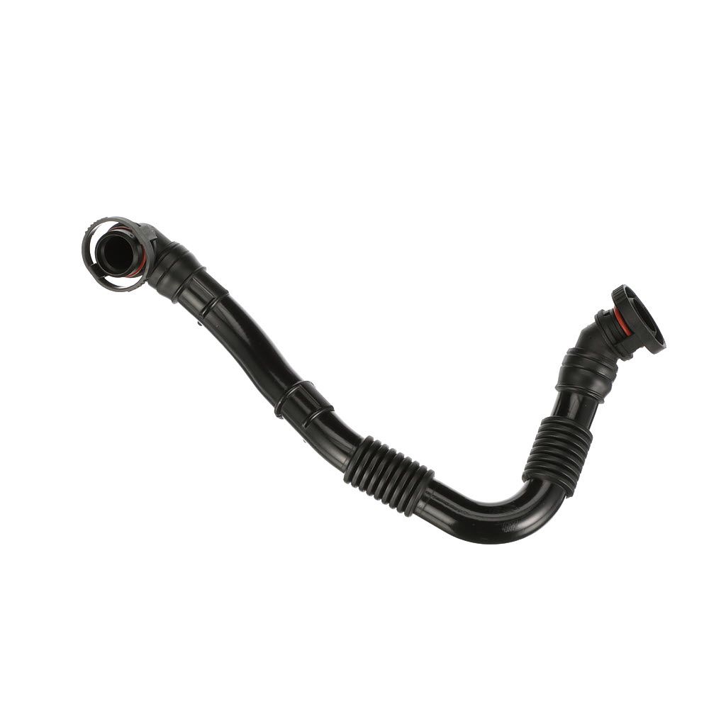 žarna, karterio alsuoklis