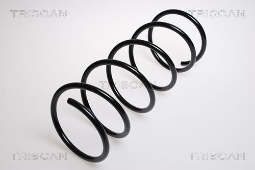 8750 2843 TRISCAN futómű rugó