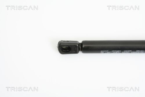 Triscan 8710 18217 Gasfeder, Koffer-/Laderaum