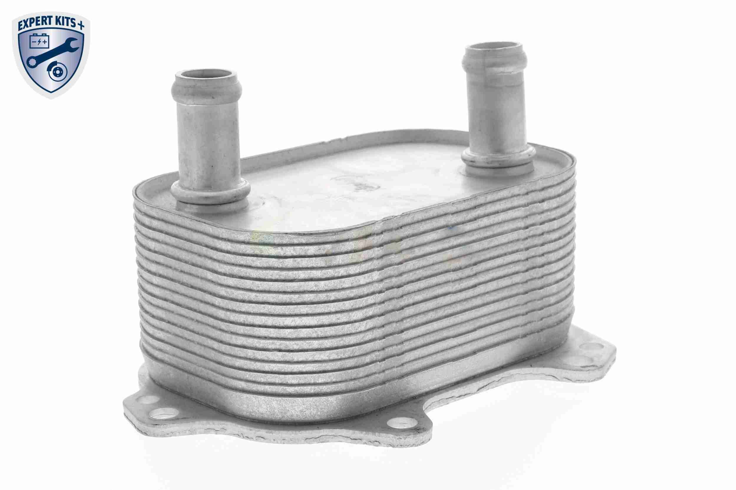 &Ouml;lk&uuml;hler, Motor&ouml;l