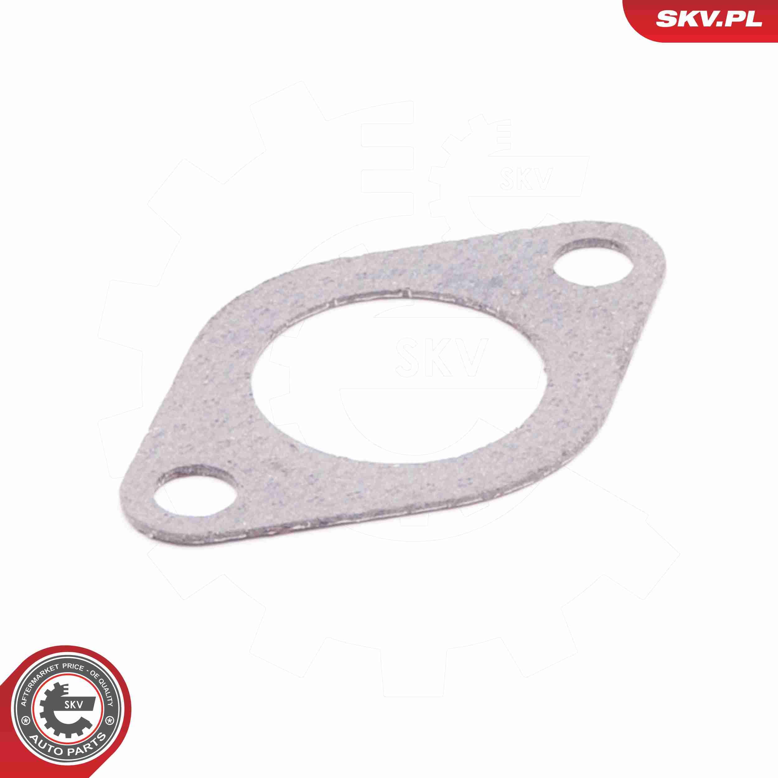 ESEN SKV 14SKV110 - Dichtung, AGR-Ventil